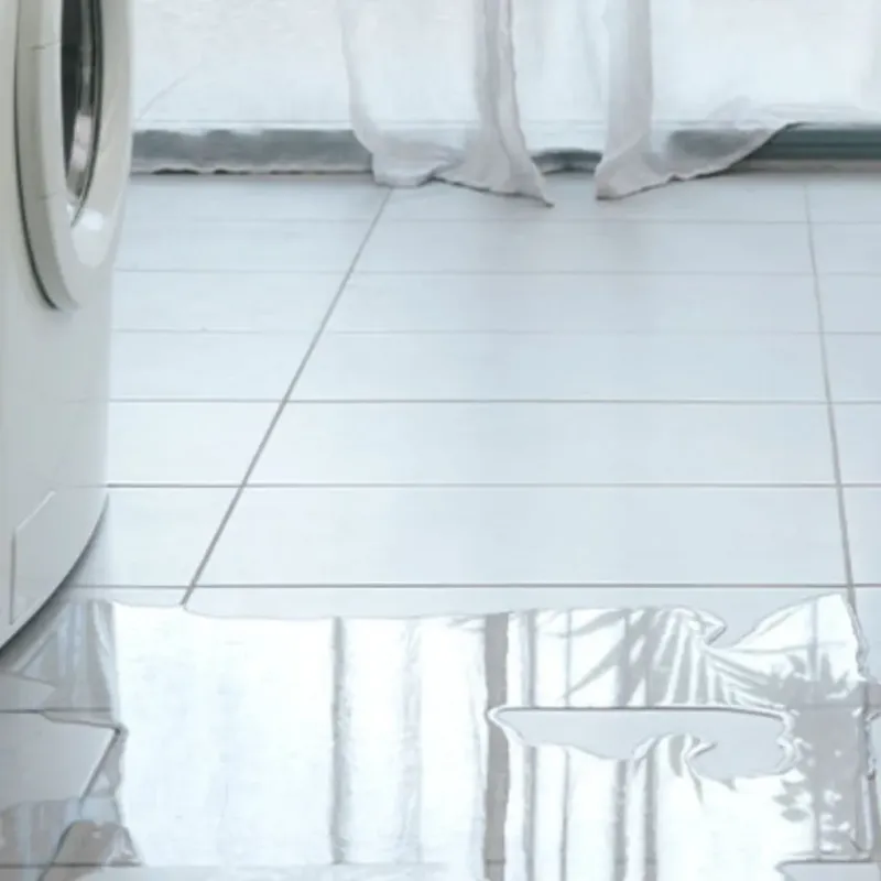Appliance Leak Cleanup in Marion County, TN