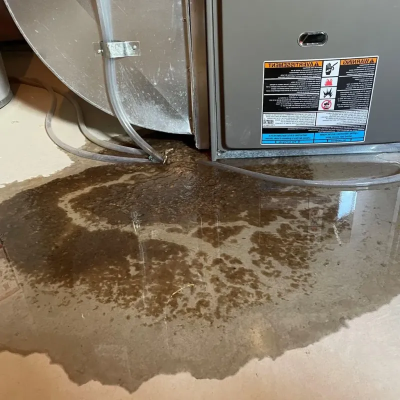 Pipe Burst and Leak Restoration in Marion County, TN