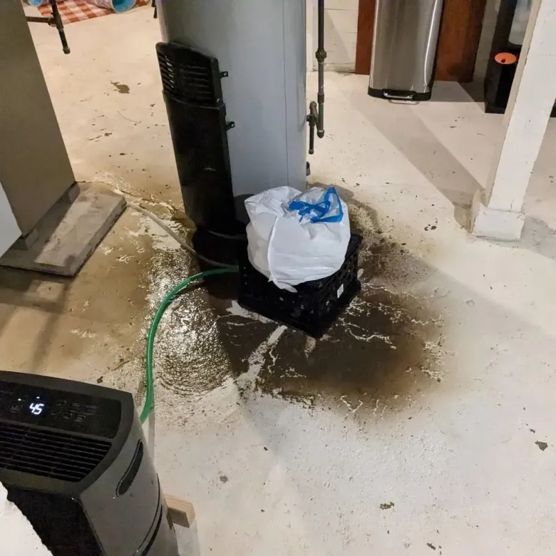 Sewage Backup Cleanup Service in Marion County, TN